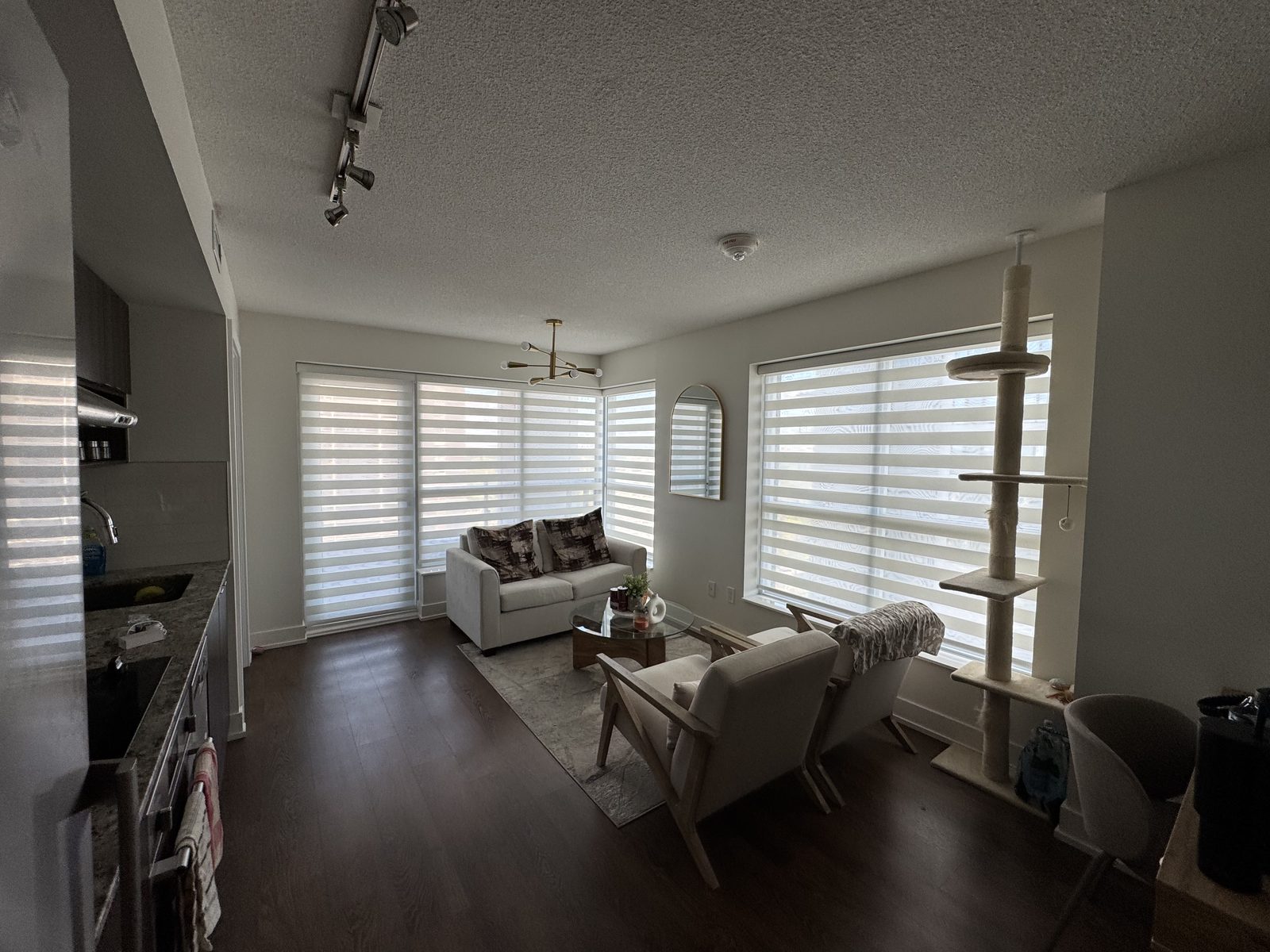 Living room with zebra blinds