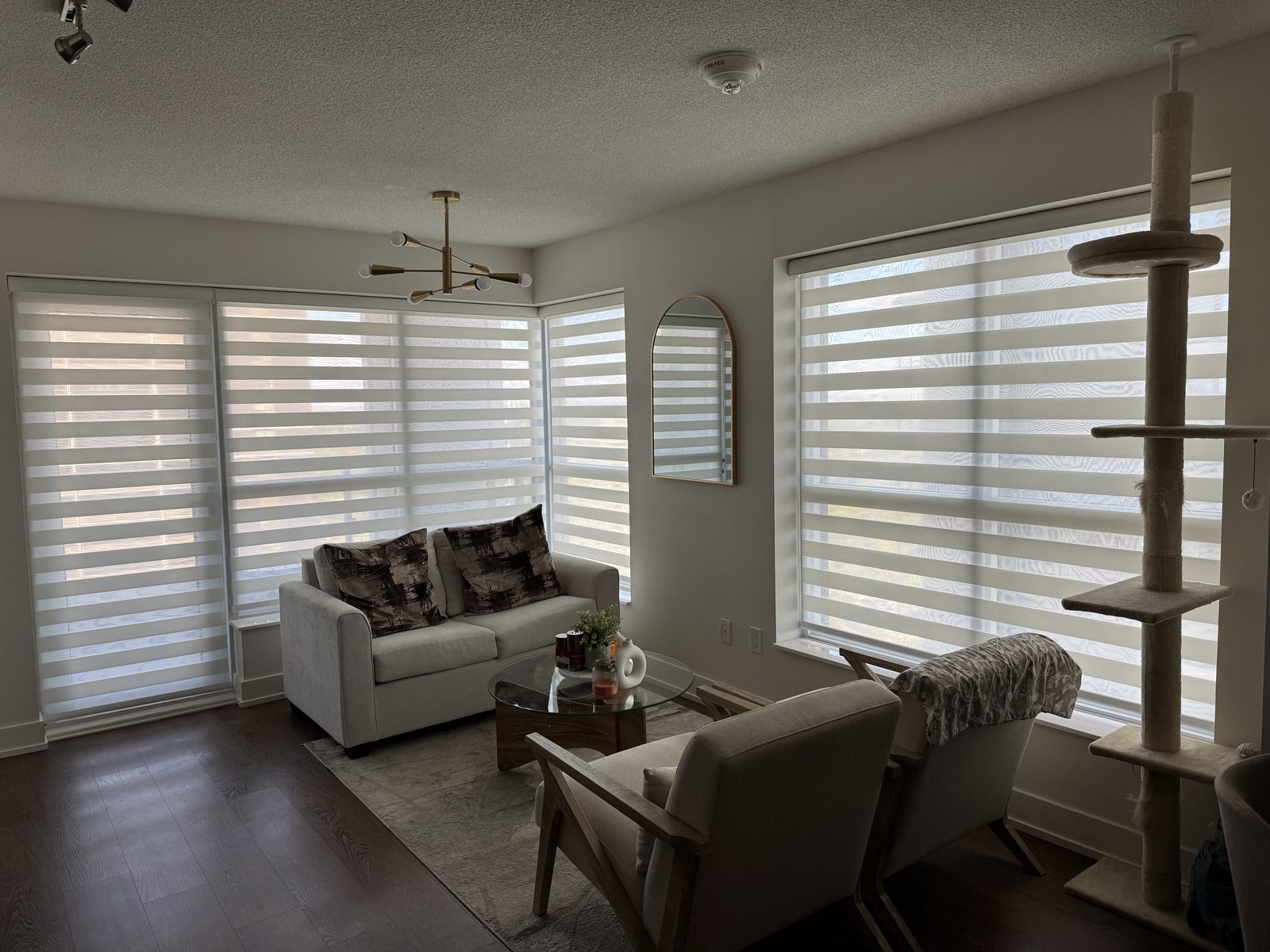 Living room with zebra shades on four windows including a sliding door