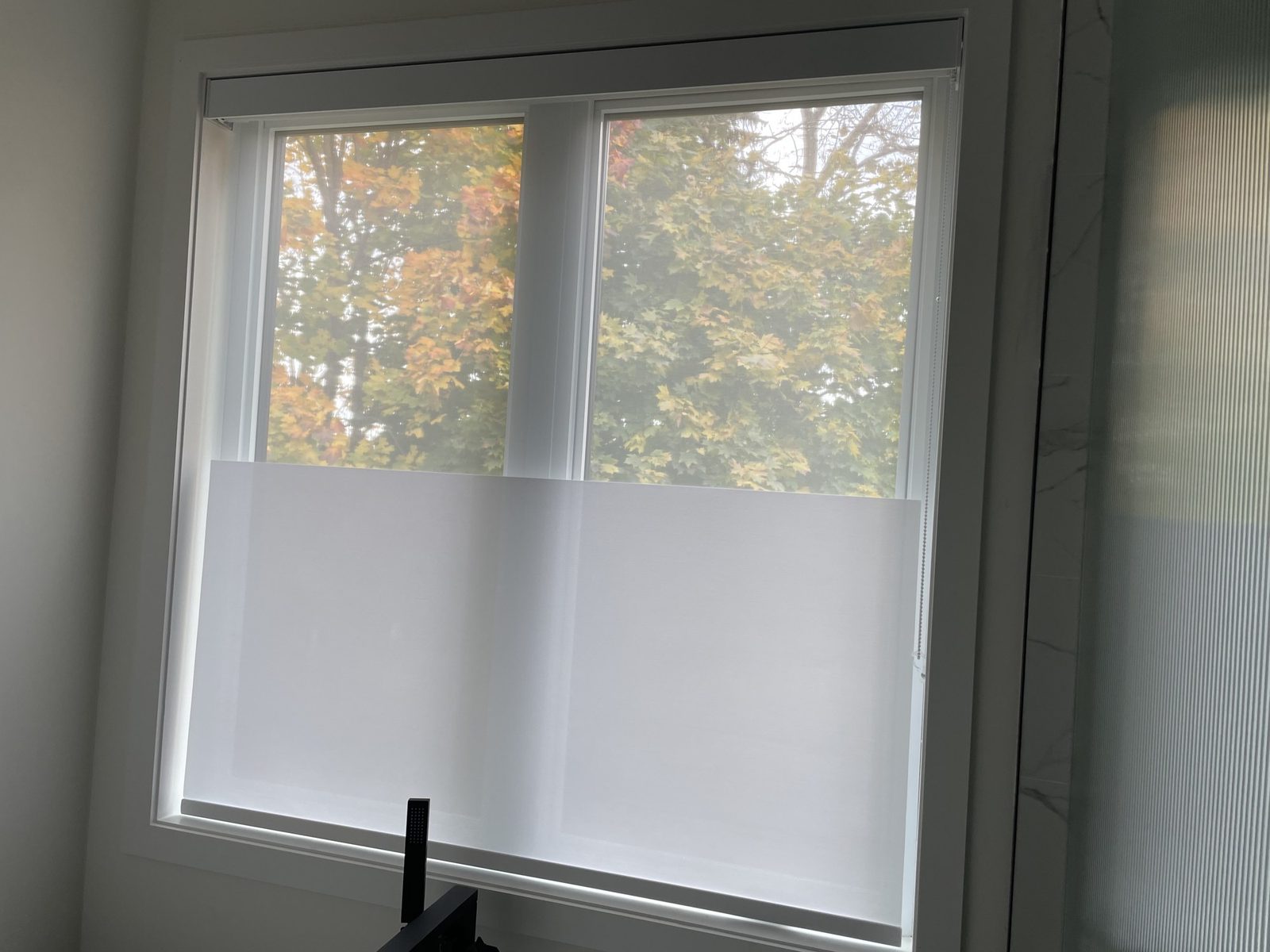 Bathroom window with a bottom-up light-filtering shade covering the lower half